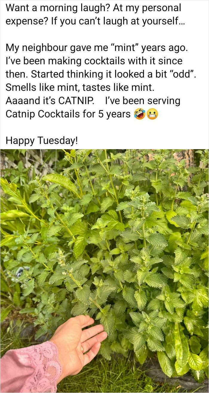 Local Facebook Gardening Group. Found This Hilarious Post In My Local Gardening Page. Figured It Was Too Funny To Keep To Myself