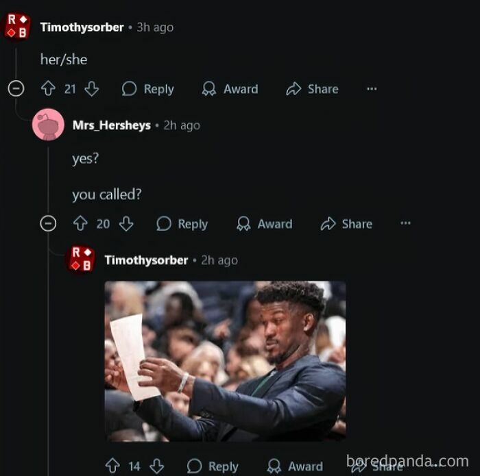 Online conversation screenshot showing a perfect username interaction with humorous replies and reactions.