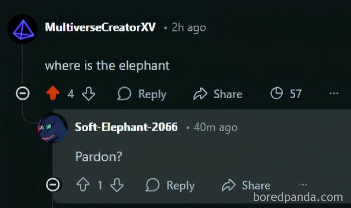Online conversation showing a person with the perfect username Soft-Elephant-2066 replying to a comment about an elephant.