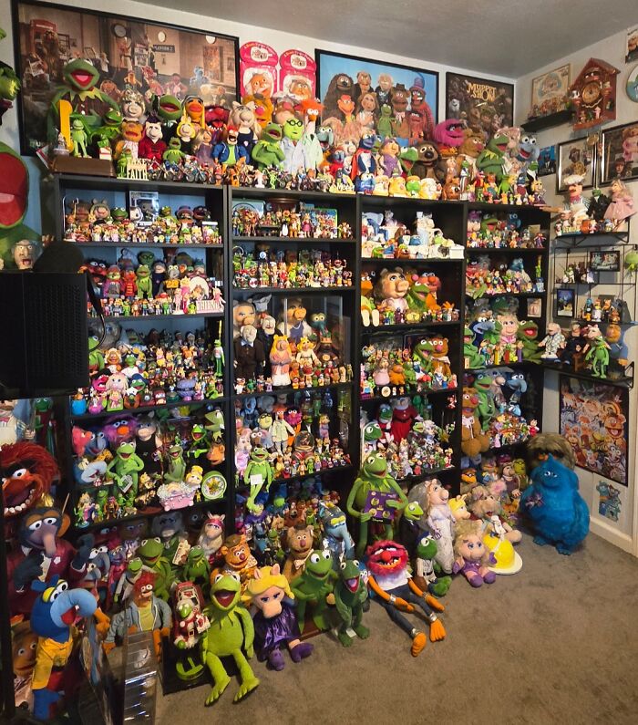 Extensive collection of Muppet plush toys and figurines displayed on shelves and floor in a colorful fan's room.