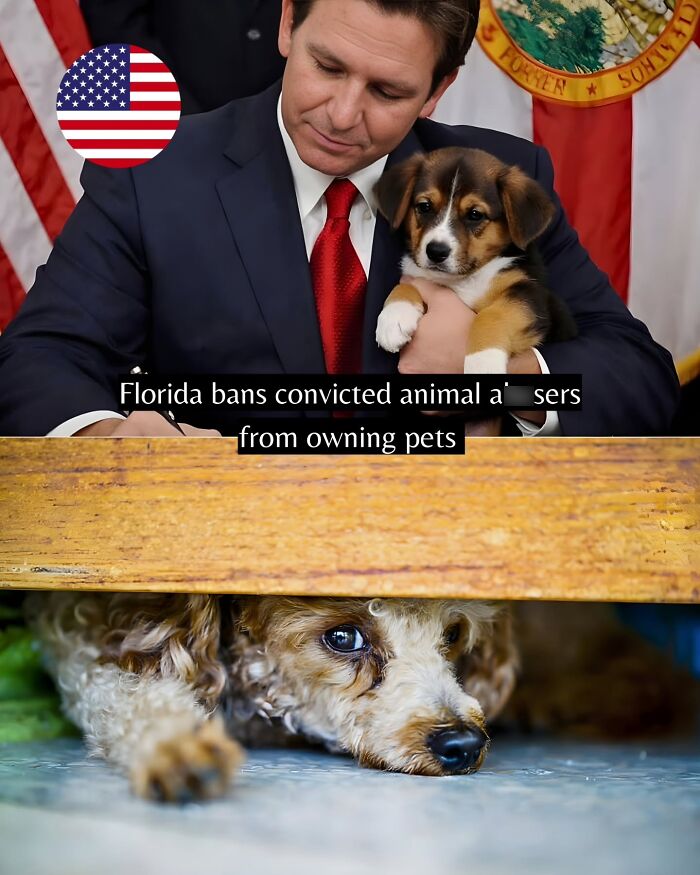 Man in a suit holding a puppy while signing a pet ownership law, good news from around the world and animals.