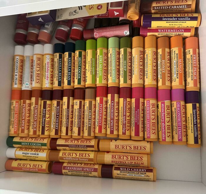 Collection of Burt's Bees lip balms neatly organized by flavor and color in a drawer, showcasing obsession collections.