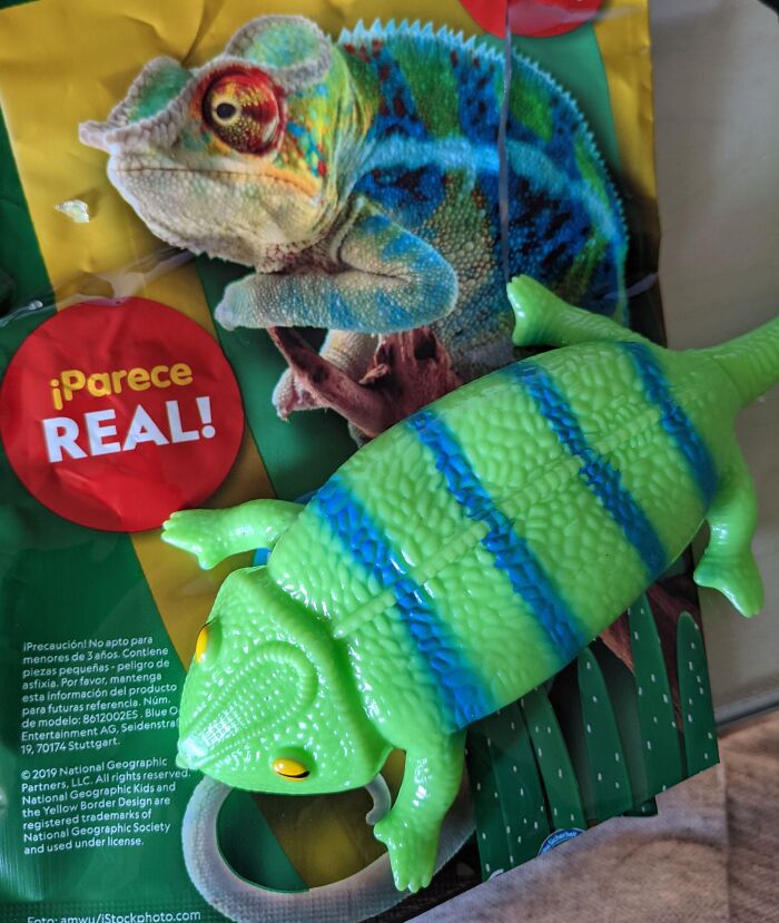 Plastic toy lizard with unrealistic colors next to a photo of a real chameleon, illustrating shopping fails trust issues.