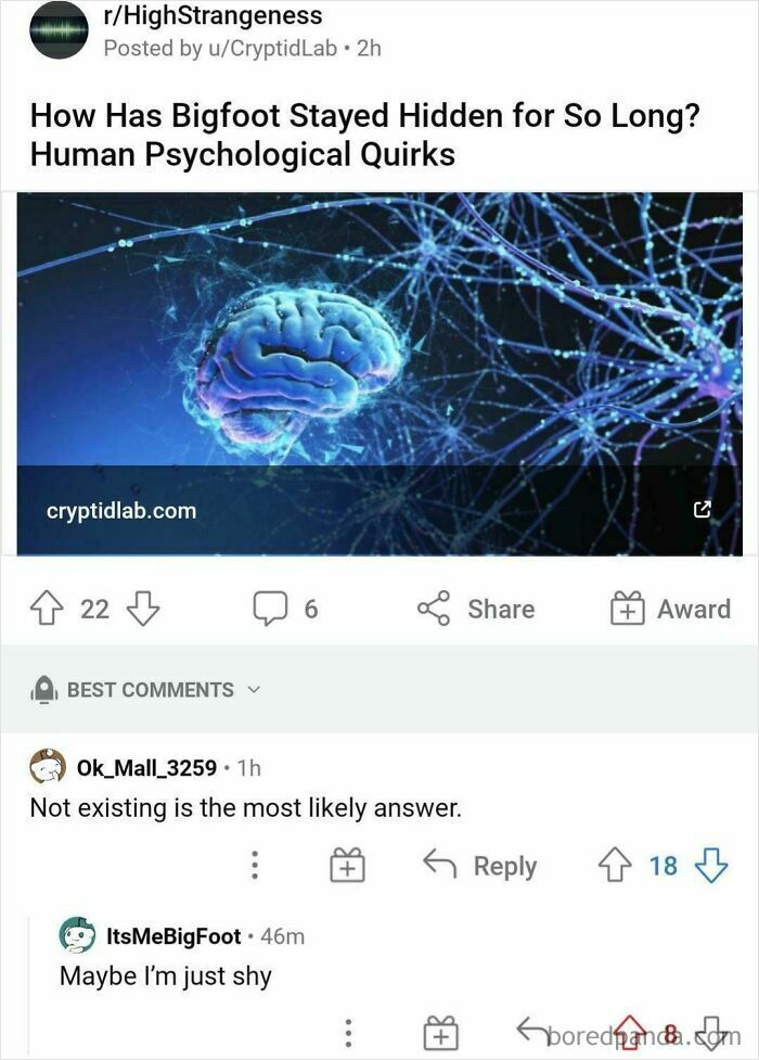 Reddit conversation showing a perfect username ItsMeBigFoot popping up in an online discussion about Bigfoot.