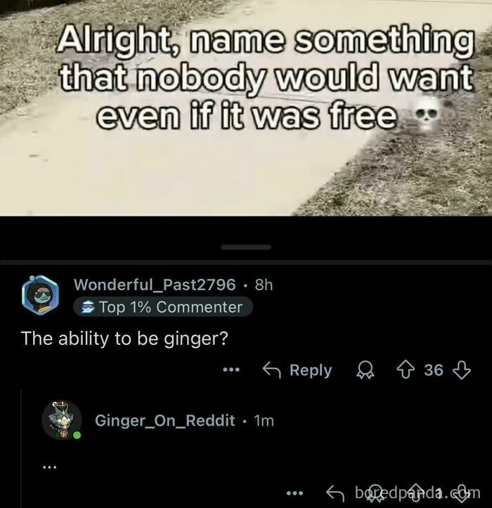 Online conversation showing a perfect username Ginger_On_Reddit replying to a comment about being ginger.