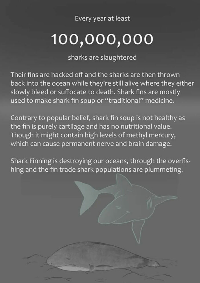 Artist Who Made People Cry With Her Grim Reaper Animal Comics Is Back With New Tearjerkers (7 Stories)