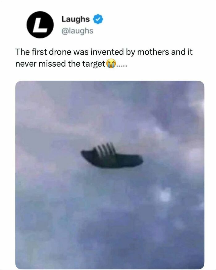 Funny meme showing a flying fork as a drone, highlighting humor in memes to look at for a break from responsibility.