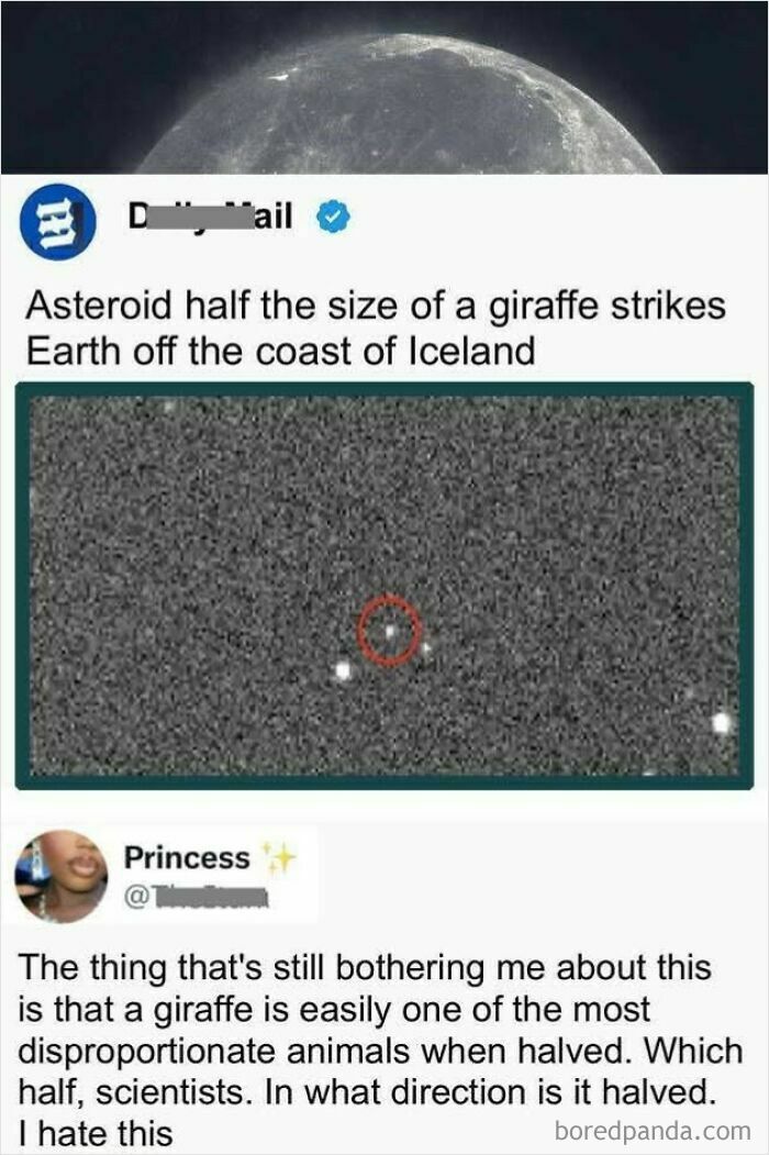 Screenshot of a funny post exposing how uncultured and ignorant Americans misunderstand an asteroid size comparison with a giraffe.