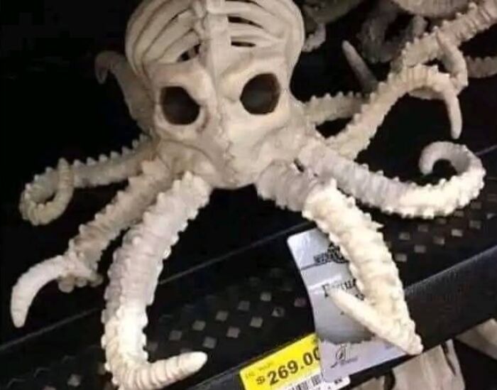 Skeleton of invertebrate animals sold at Walmart highlighting uncultured and ignorant Americans humor humor post.