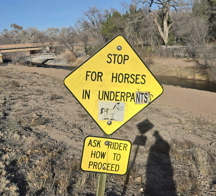 Yellow street sign with mild vandalism showing altered text about horses in underpants, set in a rural outdoor area.