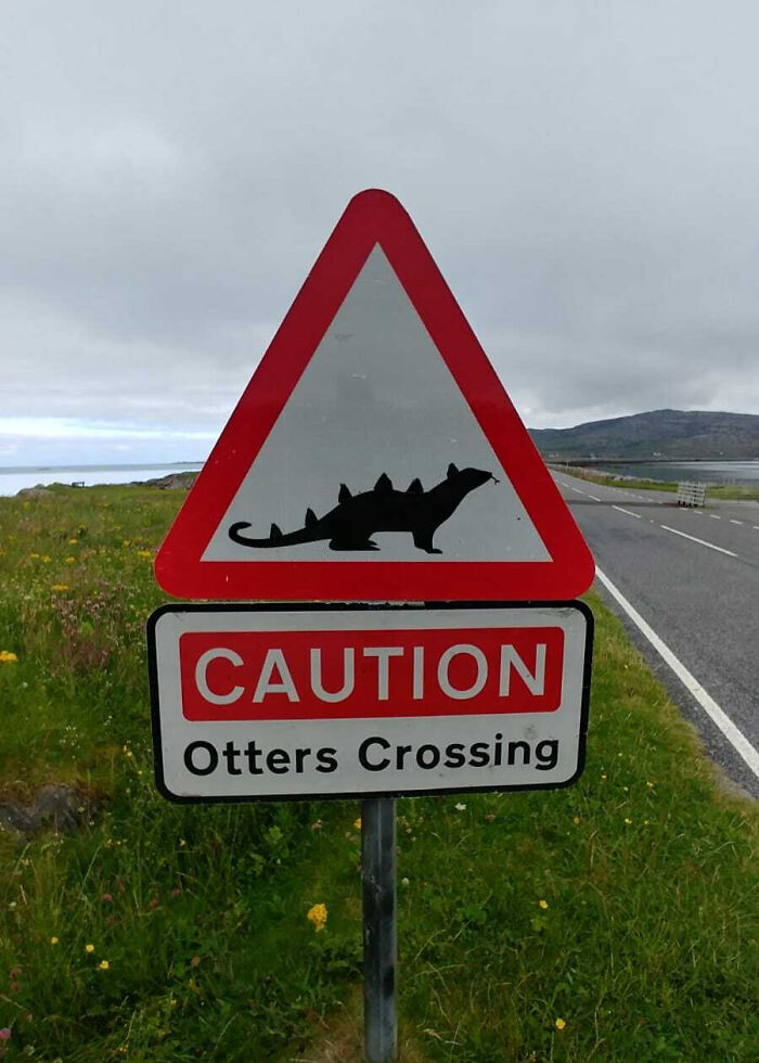 Caution road sign altered with mild vandalism showing otters crossing as a playful warning on a rural roadside.