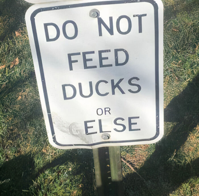 Sign saying do not feed ducks altered with vandalism, showing mild vandalism in a public outdoor area.