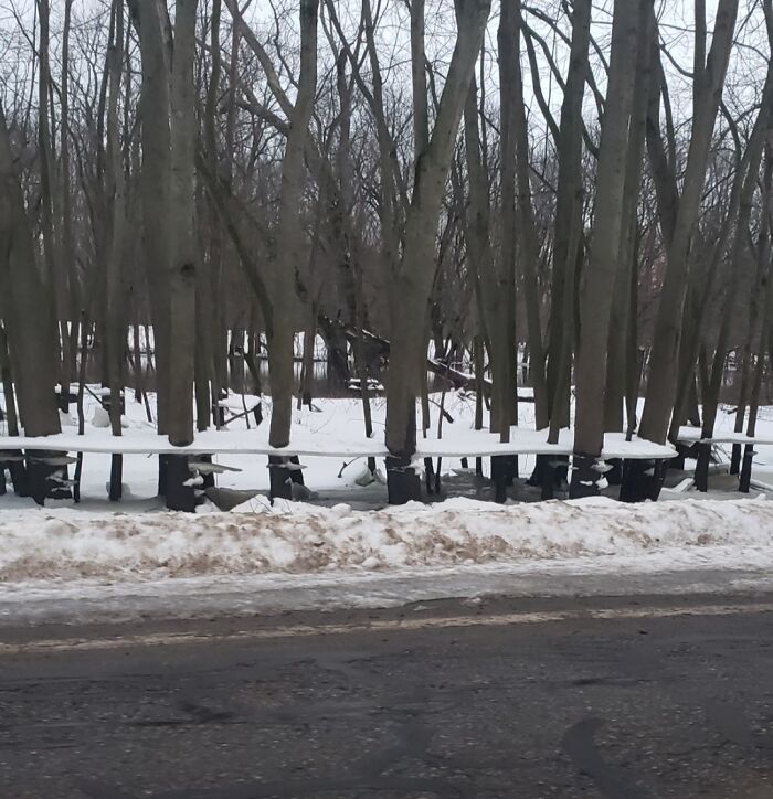 Snow-covered trees in a winter landscape near a road, showing an incredible example of nature's quiet beauty.