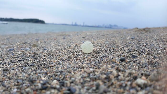 Small round object resting on a pebble-covered beach, showcasing the unreal details in our incredible reality.