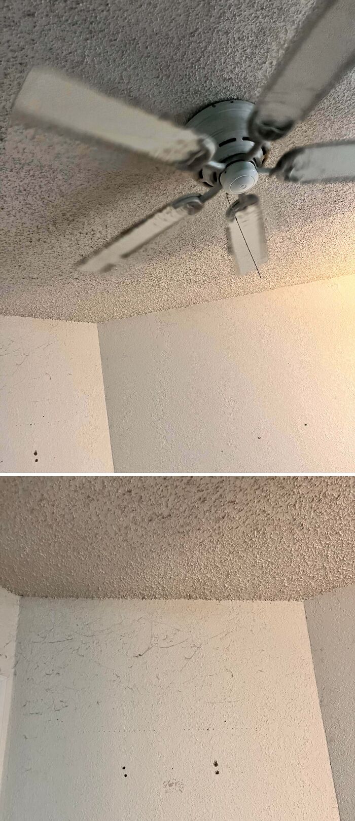 Ceiling fan with blades bent upward wildly while spinning contrasted with an empty textured ceiling corner strange pic.