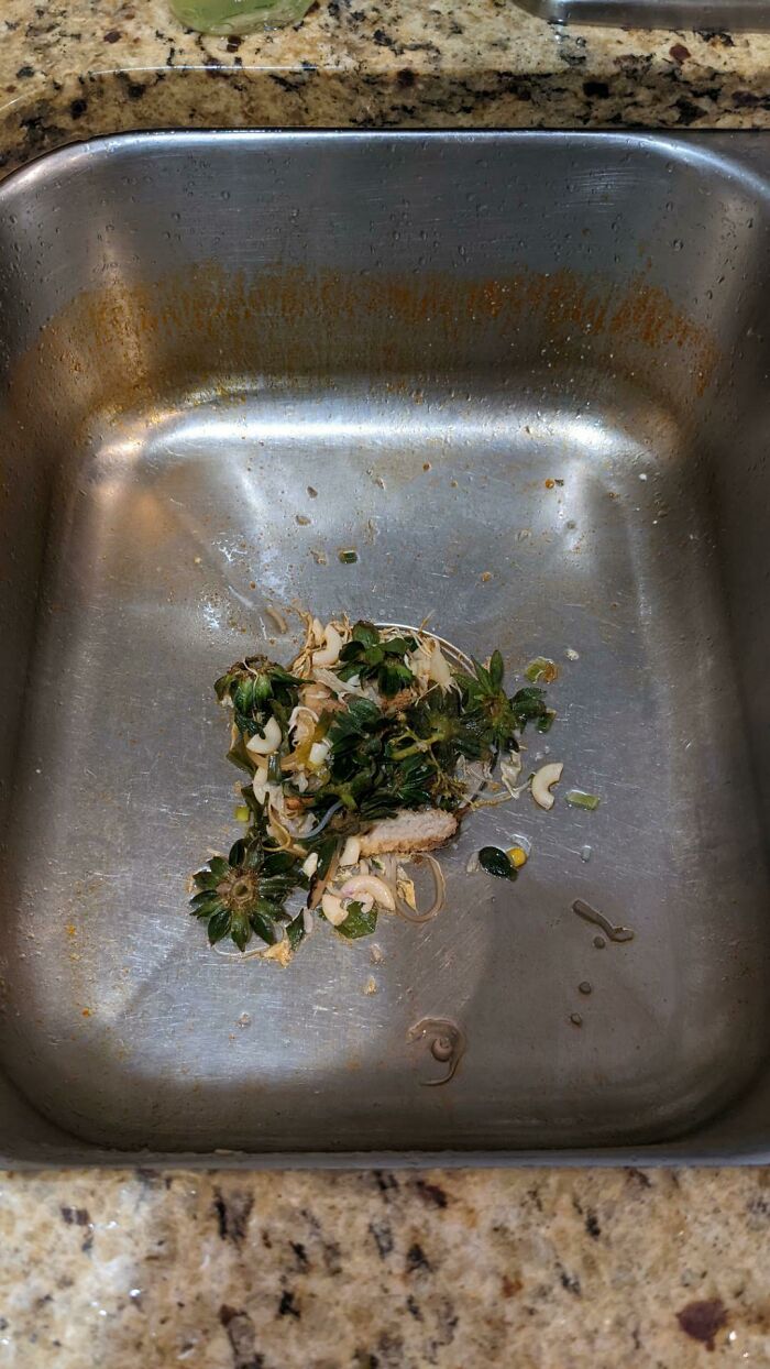 Kitchen sink with food waste and scraps left inside, showing a common American thing people believe only exists in movies but is real