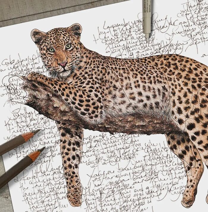 35 Beautiful Wildlife Sketches That Blend Scientific Detail With Artistic Wonder