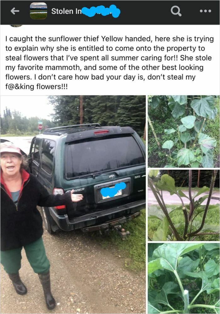 Woman accused of entitlement caught near stolen flowers, highlighting entitled Karens missing a sense of shame behavior.