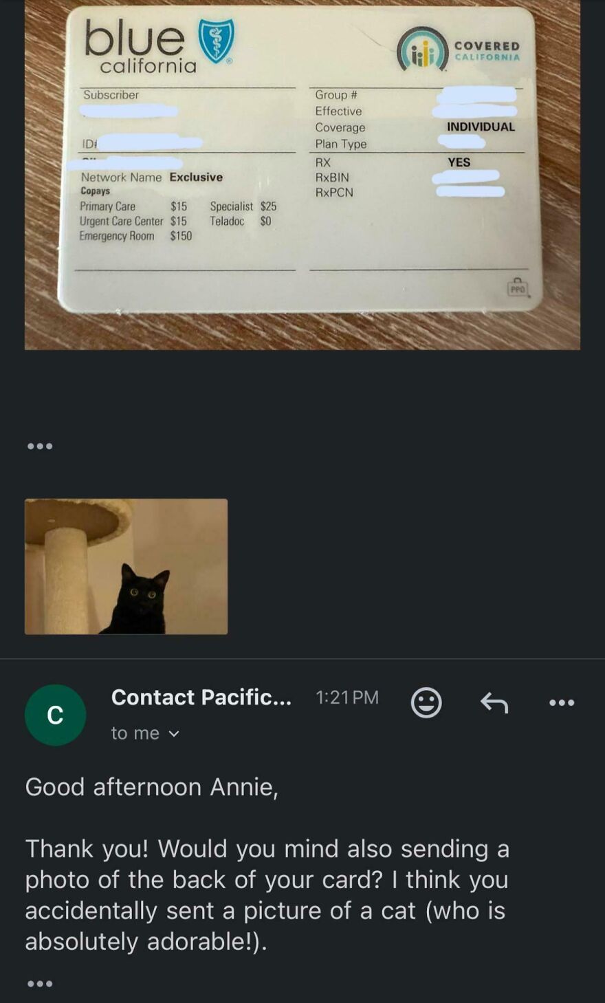 Screenshot of a funny email exchange confusing a health insurance card photo with a cat image, showing possible ChatGPT use.