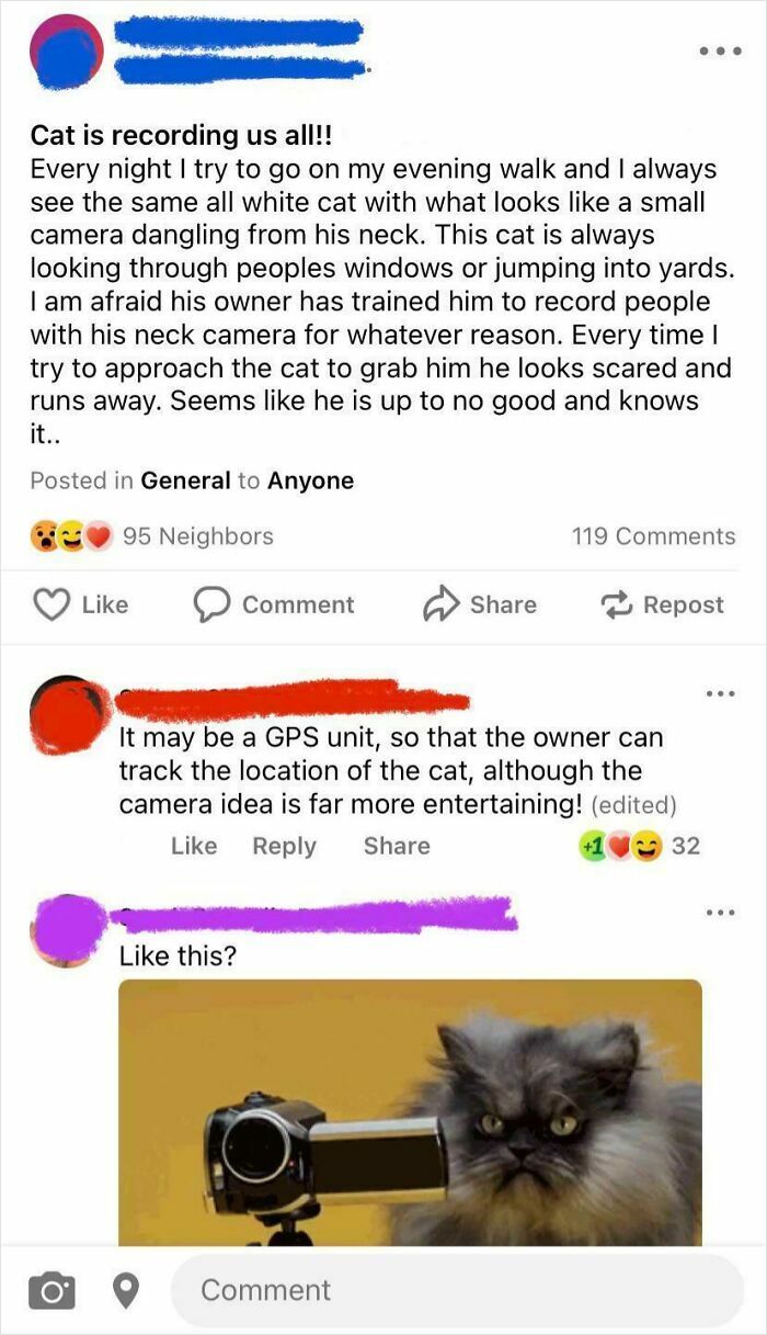 Screenshot of social media posts discussing a cat with a neck camera, highlighting entitled Karens missing a sense of shame.