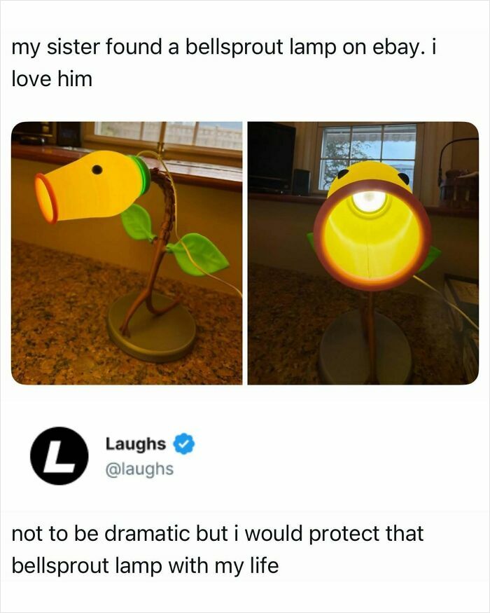 Photos of a funny Bellsprout lamp meme, highlighting humor and relatable memes to enjoy during breaks.
