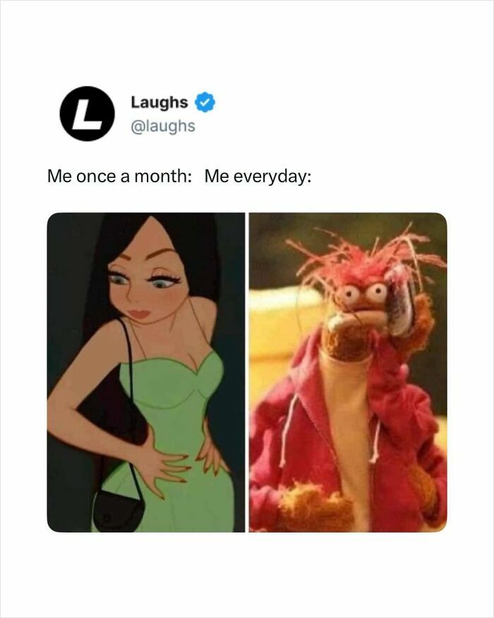 Funny memes showing a glamorous cartoon character versus a disheveled puppet to lighten the mood for adults needing a break.