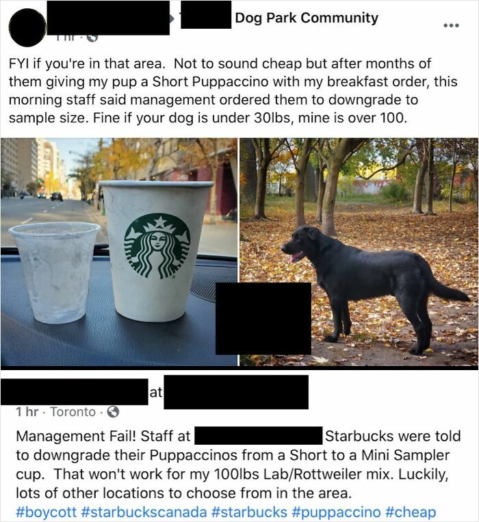 Small and large Starbucks cups next to a black dog, highlighting entitlement issues with downgraded Puppaccino sizes.
