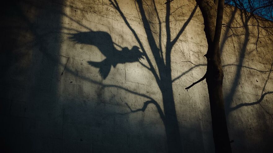 &ldquo;Strange Little Things I Noticed In Everyday Life&rdquo;