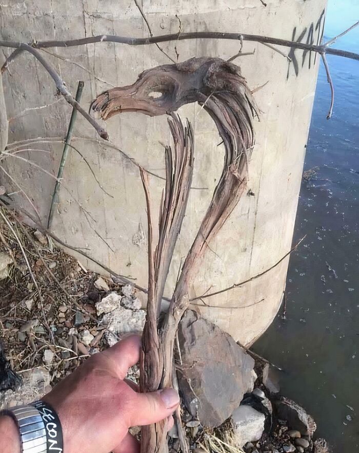 Hand holding cool sticks resembling animal shapes near a concrete structure by a body of water.