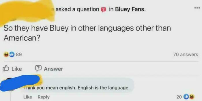 Facebook comment asking if Bluey is in other languages besides American, showing a silly online post.