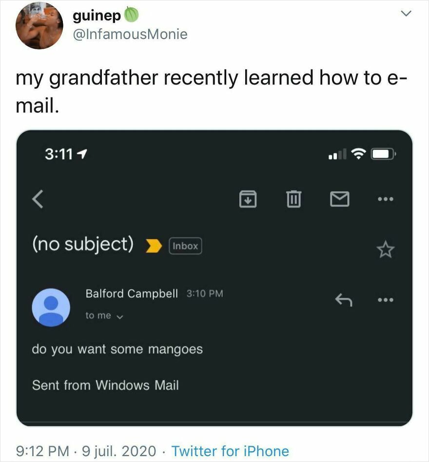 Screenshot of a funny email showing a simple message about mangoes, highlighting random and funny email content.