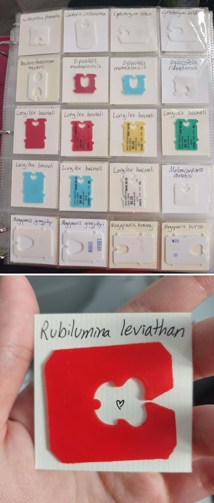 Collection of colorful scanner edge protectors arranged in a binder, showcasing an unusual obsessive collection.