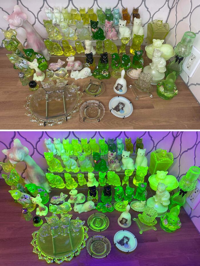 Collection of glass and ceramic cat figurines in various colors displayed on wooden surface under normal and UV light.