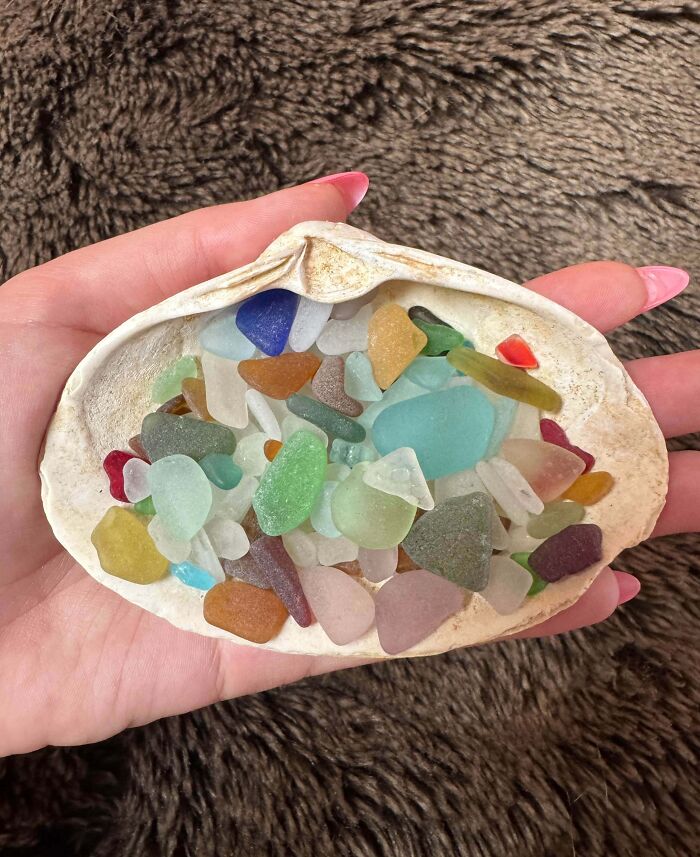 Hand holding a shell filled with colorful sea glass pieces, showcasing a unique obsessive collection.