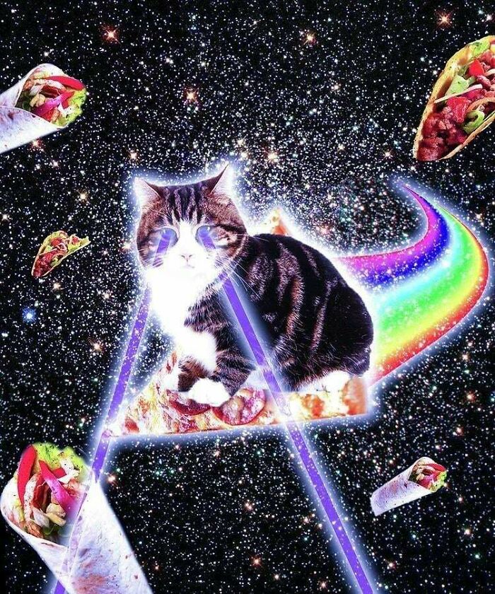 Cat wearing glasses with laser eyes, space background, rainbow trail, and floating tacos representing 2010s nostalgia.