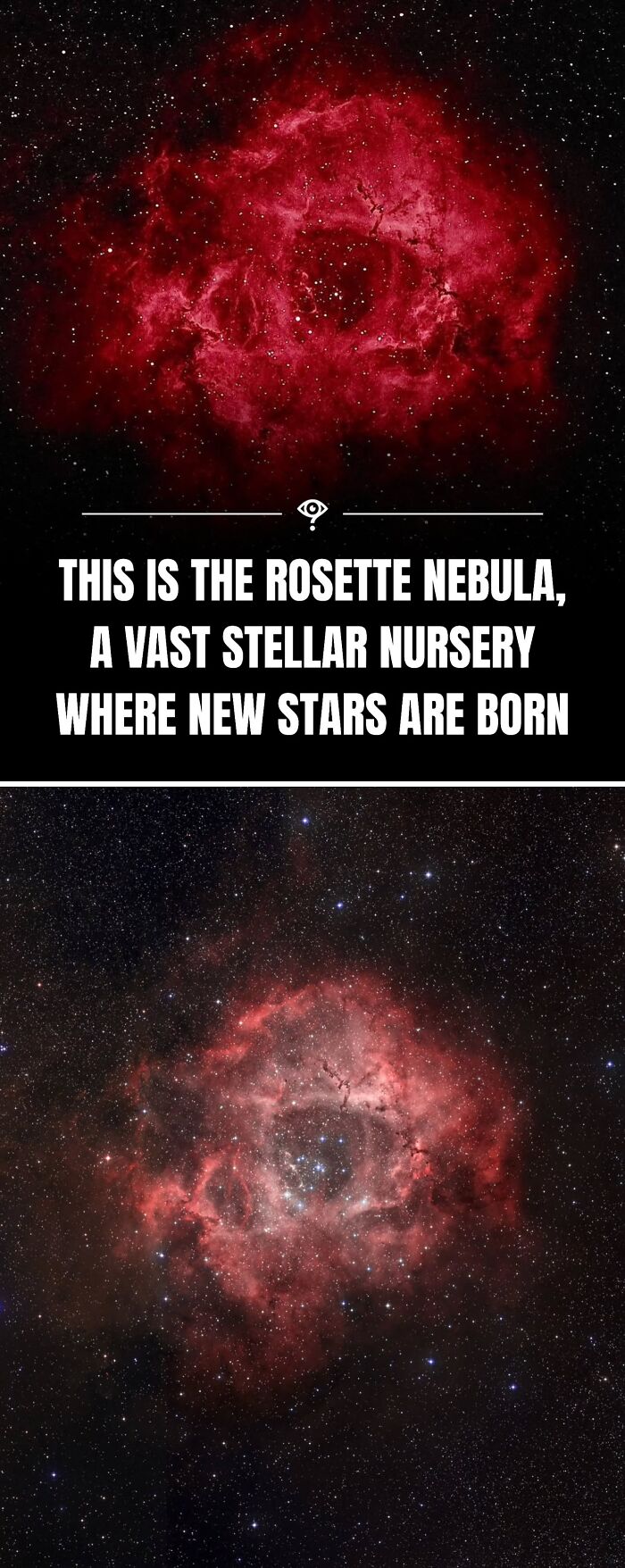 Rosette Nebula glowing red in space, showcasing stunning science facts that satisfy curiosity about stellar nurseries.