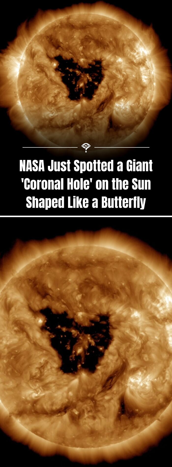 Close-up of the sun showing a butterfly-shaped coronal hole, a fascinating science fact to satisfy curiosity.
