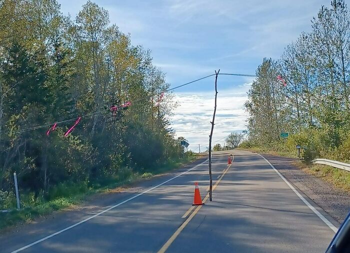 Road blocked by a traffic cone and a tall stick wired overhead, a hilariously dumb solution that technically works.