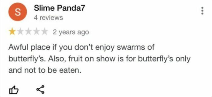 Customer review complaining about butterfly fruit policy, illustrating delusional customers thinking they can settle issues via reviews.