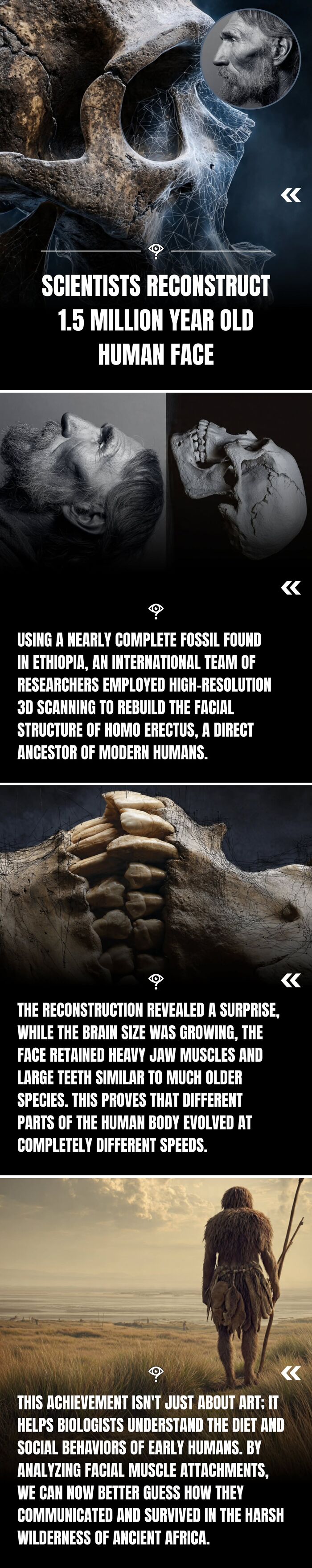 Reconstruction of 1.5 million-year-old human face using 3D scanning reveals insights for science facts and curiosity.