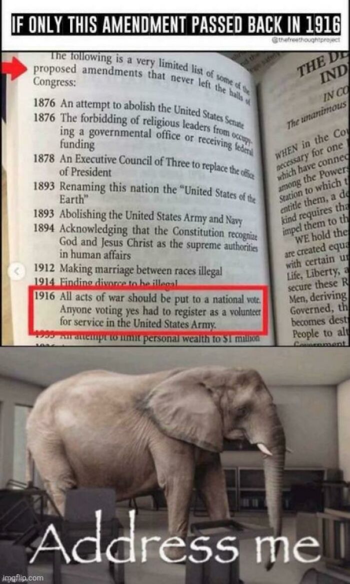 A history meme showing an elephant with text, reflecting on proposed amendments from 1916 including one about war.