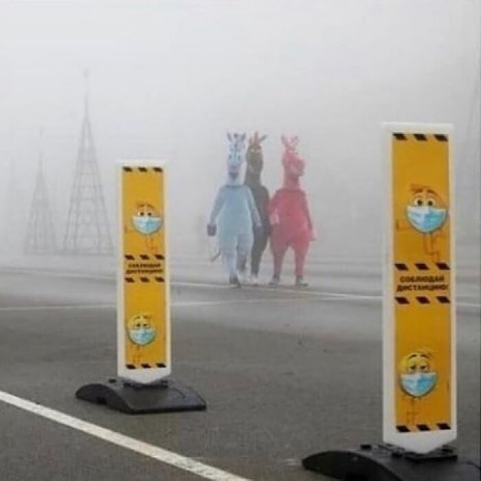 Three people in colorful animal costumes walking on a foggy street behind weird and cringey caution signs.