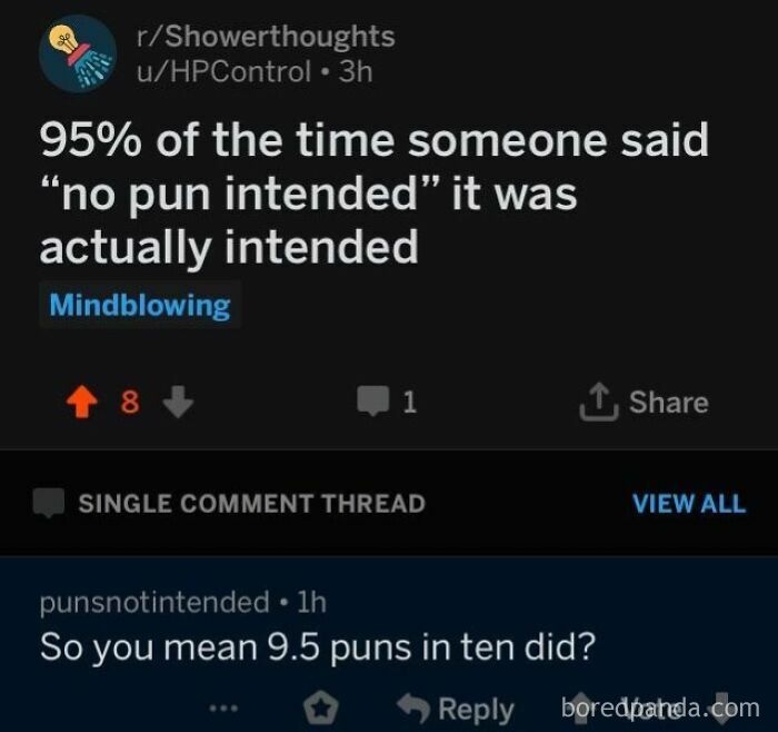 Reddit conversation showing a user with the perfect username punsnotintended replying to a pun-related post.