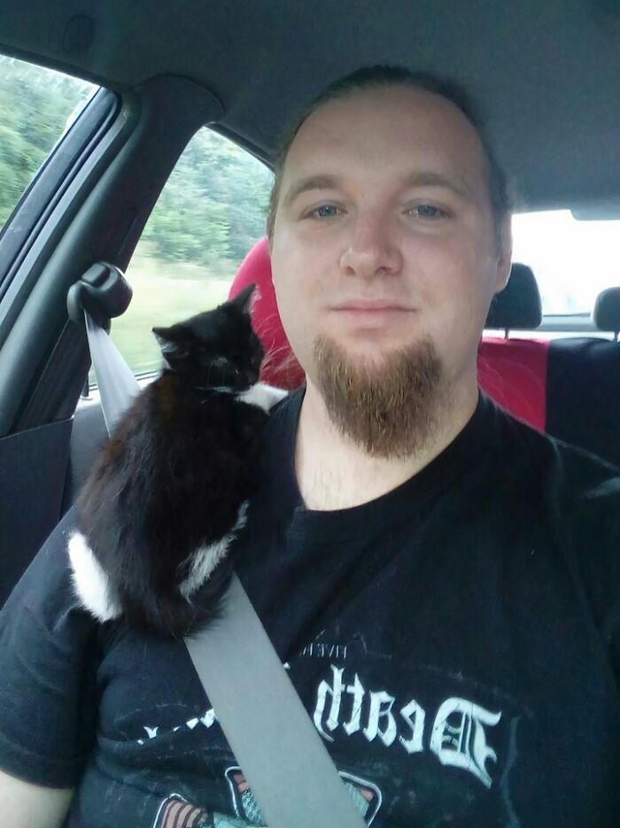 Man driving a car with a rescued black and white kitten resting on his shoulder, showing animals saved from awful conditions.