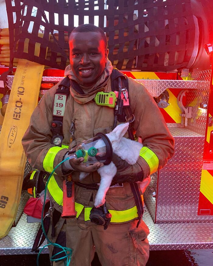 Firefighter saving a lamb using an oxygen mask, showing animals rescued from awful conditions and given a second chance.