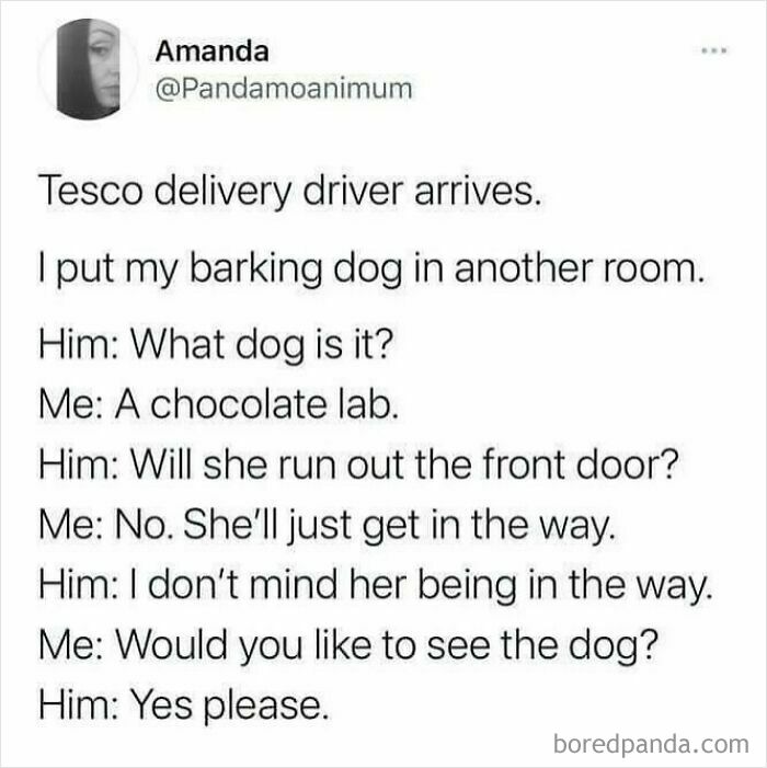 Text meme about a Tesco delivery driver and a chocolate lab dog, showcasing British humor and conversation style.