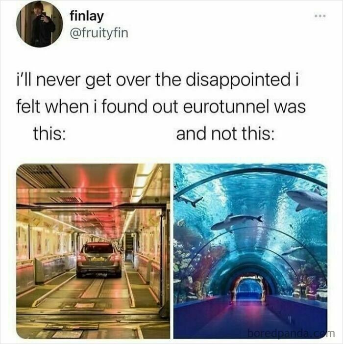 Meme comparing the Eurotunnel car passage to an underwater tunnel with sharks, highlighting British humor memes.