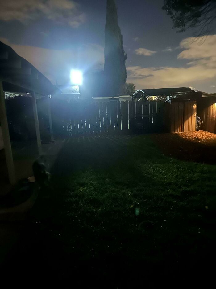 Dark backyard at night with bright light shining over a wooden fence and garden shed, showcasing remote neighbors.