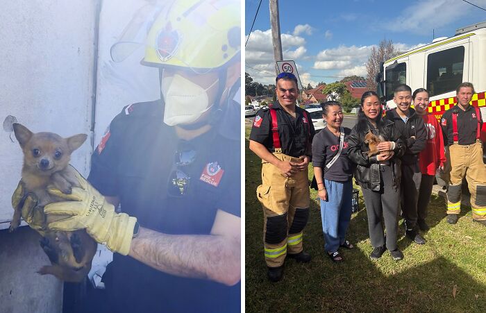 Firefighter rescuing a small dog and a group of people smiling with the rescued animal, showcasing animal rescue and second chances.