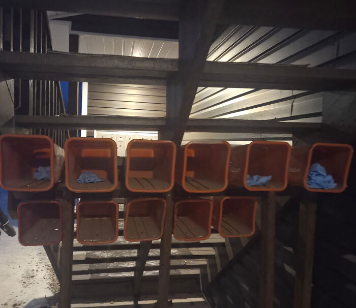 Empty red mailboxes mounted on a wooden frame under a roof, illustrating unusual neighbors in remote areas.